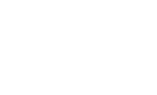The Robert Salzer Foundation